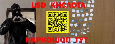 гашик Кулебаки