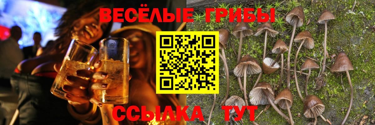 Псилоцибиновые грибы мицелий Киров