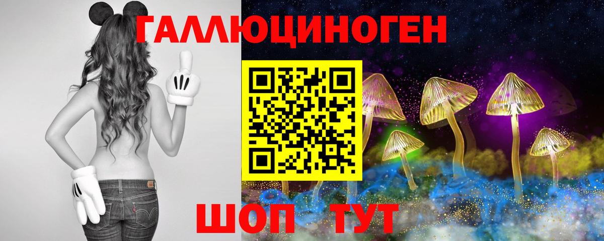 Псилоцибиновые грибы Psilocybe  Вход с VPN  Киров 